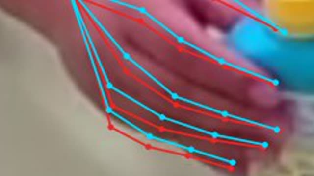 3D hands from a few cameras